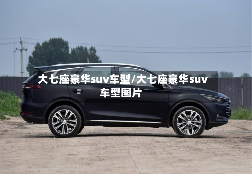 大七座豪华suv车型/大七座豪华suv车型图片