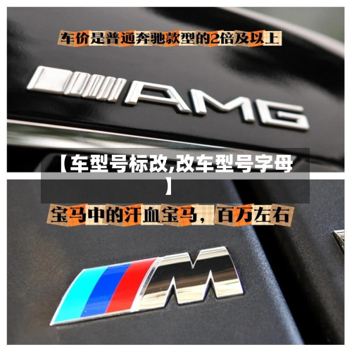 【车型号标改,改车型号字母】-第3张图片