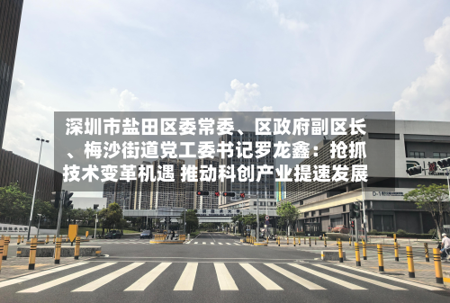深圳市盐田区委常委、区政府副区长、梅沙街道党工委书记罗龙鑫:抢抓技术变革机遇 推动科创产业提速发展