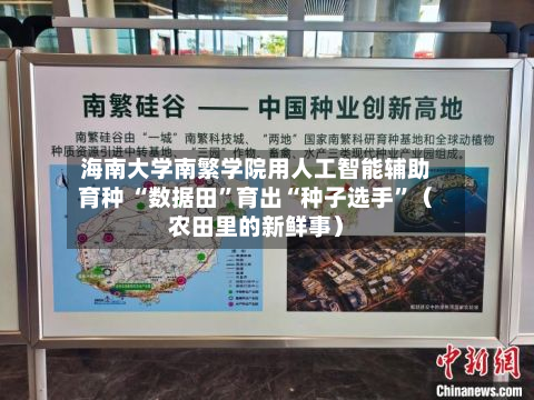 海南大学南繁学院用人工智能辅助育种 “数据田”育出“种子选手”(农田里的新鲜事)