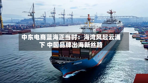 中东电商蓝海正当时：海湾风起云涌下 中国品牌出海新丝路-第2张图片