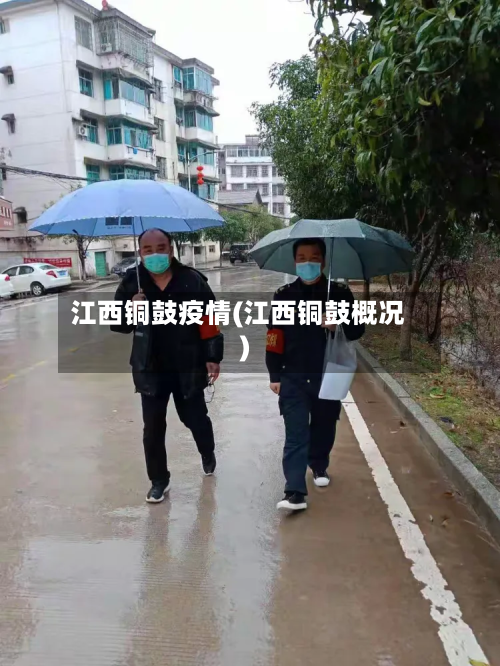 江西铜鼓疫情(江西铜鼓概况)-第2张图片