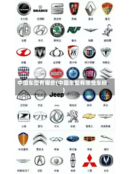 中国车型有哪些(中国车型有哪些车标)