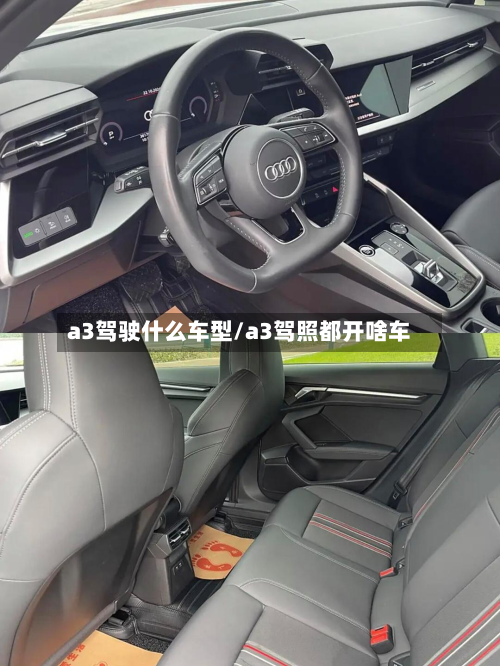 a3驾驶什么车型/a3驾照都开啥车-第2张图片