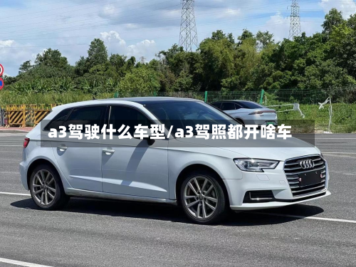 a3驾驶什么车型/a3驾照都开啥车