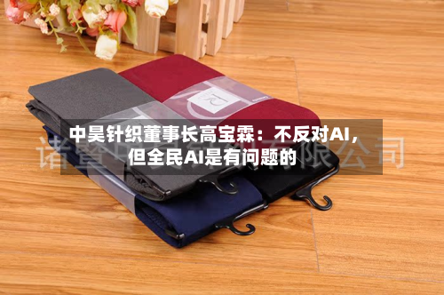 中昊针织董事长高宝霖：不反对AI，但全民AI是有问题的-第3张图片