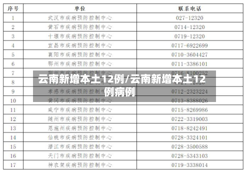 云南新增本土12例/云南新增本土12例病例-第2张图片