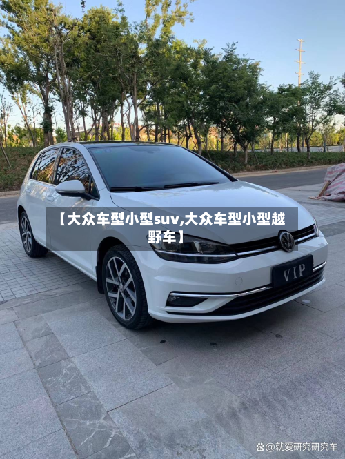 【大众车型小型suv,大众车型小型越野车】