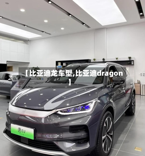 【比亚迪龙车型,比亚迪dragon】-第2张图片