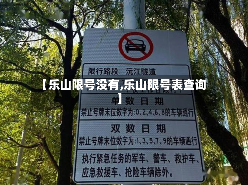【乐山限号没有,乐山限号表查询】-第3张图片