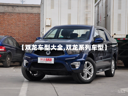 【双龙车型大全,双龙系列车型】-第2张图片