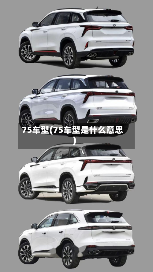 75车型(75车型是什么意思)-第2张图片