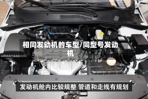 相同发动机的车型/同型号发动机