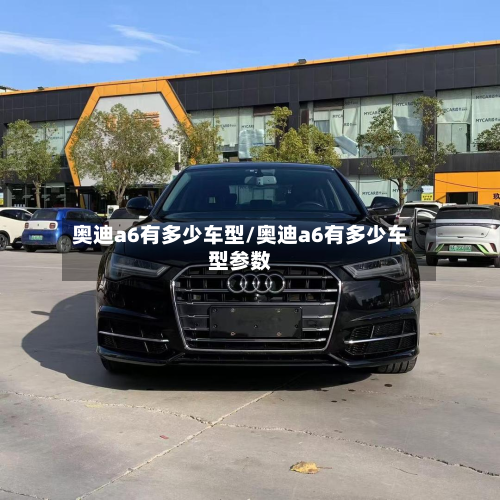 奥迪a6有多少车型/奥迪a6有多少车型参数-第2张图片