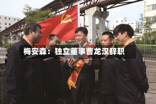 梅安森:独立董事曹龙汉辞职-第2张图片