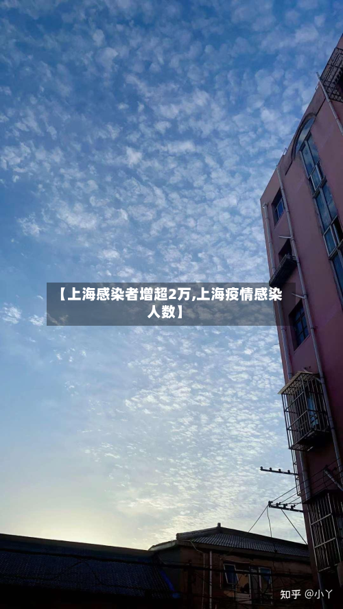 【上海感染者增超2万,上海疫情感染人数】-第3张图片