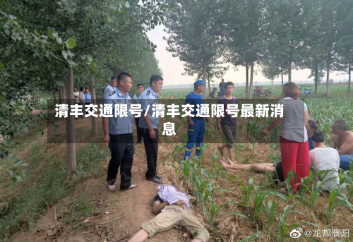 清丰交通限号/清丰交通限号最新消息-第2张图片