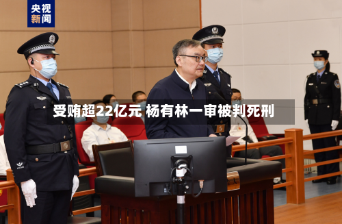 受贿超22亿元 杨有林一审被判死刑-第3张图片