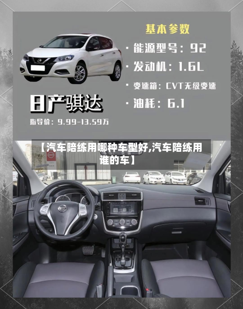 【汽车陪练用哪种车型好,汽车陪练用谁的车】-第2张图片