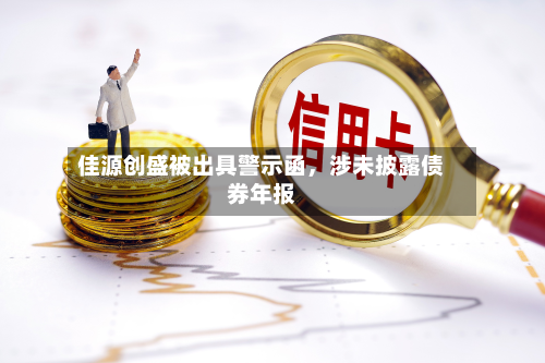 佳源创盛被出具警示函	，涉未披露债券年报-第3张图片